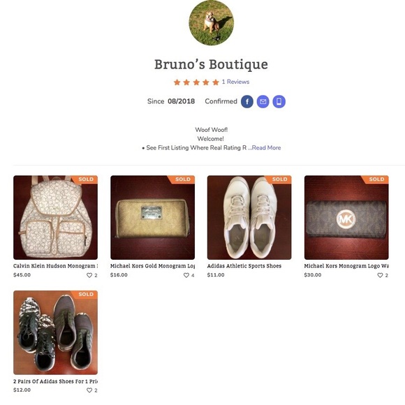 Meet Your Posher, Bruno, And See Our Ratings 🐶 - Picture 2 of 7